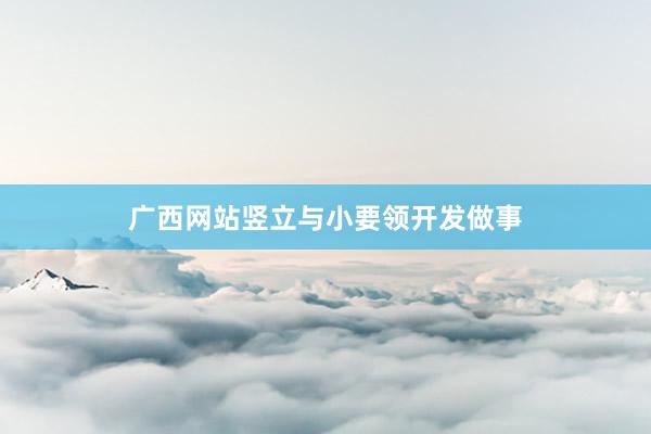 广西网站竖立与小要领开发做事